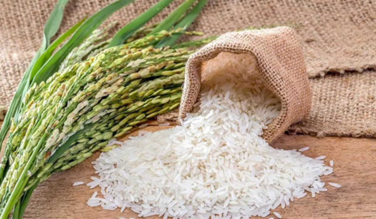 خرید کیسه برنج در مازندران