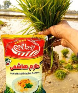 خرید کیسه اسپان باند