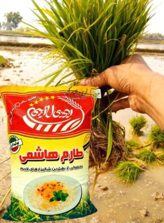 خرید کیسه اسپان باند