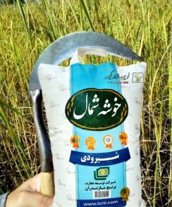 خرید کیسه اسپان باند