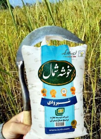 خرید کیسه اسپان باند
