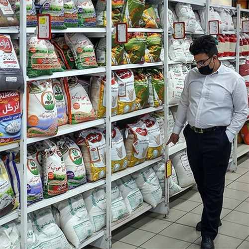 اخبار قیمت روز برنج 1403
